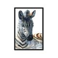 Picture of Sleeping Zebra _GroupedProduct_Rectangle_Portrait_Mini_ _GroupedProduct_Rectangle_Portrait_Framed_Matted_
