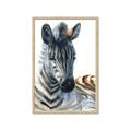 Picture of Sleeping Zebra _GroupedProduct_Rectangle_Portrait_Mini_ _GroupedProduct_Rectangle_Portrait_Framed_Matted_