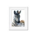 Picture of Sleeping Zebra _GroupedProduct_Rectangle_Portrait_Mini_ _GroupedProduct_Rectangle_Portrait_Framed_Matted_