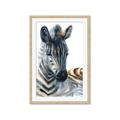 Picture of Sleeping Zebra _GroupedProduct_Rectangle_Portrait_Mini_ _GroupedProduct_Rectangle_Portrait_Framed_Matted_