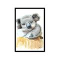 Picture of Sleeping Koala II  _GroupedProduct_Rectangle_Portrait_Mini_ _GroupedProduct_Rectangle_Portrait_Framed_Matted_