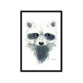 Picture of Raccoony _GroupedProduct_Rectangle_Portrait_Mini_ _GroupedProduct_Rectangle_Portrait_Framed_Matted_