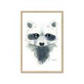 Picture of Raccoony _GroupedProduct_Rectangle_Portrait_Mini_ _GroupedProduct_Rectangle_Portrait_Framed_Matted_