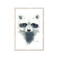 Picture of Raccoony _GroupedProduct_Rectangle_Portrait_Mini_ _GroupedProduct_Rectangle_Portrait_Framed_Matted_