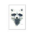 Picture of Raccoony _GroupedProduct_Rectangle_Portrait_Mini_ _GroupedProduct_Rectangle_Portrait_Framed_Matted_