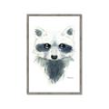Picture of Raccoony _GroupedProduct_Rectangle_Portrait_Mini_ _GroupedProduct_Rectangle_Portrait_Framed_Matted_
