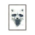 Picture of Raccoony _GroupedProduct_Rectangle_Portrait_Mini_ _GroupedProduct_Rectangle_Portrait_Framed_Matted_