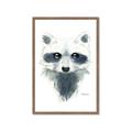 Picture of Raccoony _GroupedProduct_Rectangle_Portrait_Mini_ _GroupedProduct_Rectangle_Portrait_Framed_Matted_