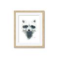 Picture of Raccoony _GroupedProduct_Rectangle_Portrait_Mini_ _GroupedProduct_Rectangle_Portrait_Framed_Matted_