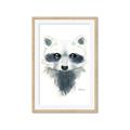 Picture of Raccoony _GroupedProduct_Rectangle_Portrait_Mini_ _GroupedProduct_Rectangle_Portrait_Framed_Matted_