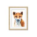 Picture of Foxy Fox _GroupedProduct_Rectangle_Portrait_Mini_ _GroupedProduct_Rectangle_Portrait_Framed_Matted_