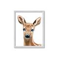 Picture of Deery _GroupedProduct_Rectangle_Portrait_Mini_ _GroupedProduct_Rectangle_Portrait_Framed_Matted_