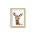 Picture of Deery _GroupedProduct_Rectangle_Portrait_Mini_ _GroupedProduct_Rectangle_Portrait_Framed_Matted_