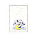Picture of Moon Bunny  _GroupedProduct_Rectangle_Portrait_Mini_ _GroupedProduct_Rectangle_Portrait_Framed_Matted_