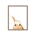 Picture of Pop up bunny _GroupedProduct_Rectangle_Portrait_Mini_ _GroupedProduct_Rectangle_Portrait_Framed_Matted_