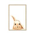 Picture of Pop up bunny _GroupedProduct_Rectangle_Portrait_Mini_ _GroupedProduct_Rectangle_Portrait_Framed_Matted_