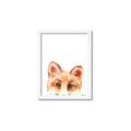 Picture of Pop up Fox _GroupedProduct_Rectangle_Portrait_Mini_ _GroupedProduct_Rectangle_Portrait_Framed_Matted_