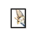 Picture of Flying Squirrel _GroupedProduct_Rectangle_Portrait_Mini_ _GroupedProduct_Rectangle_Portrait_Framed_Matted_