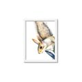 Picture of Flying Squirrel _GroupedProduct_Rectangle_Portrait_Mini_ _GroupedProduct_Rectangle_Portrait_Framed_Matted_