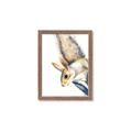 Picture of Flying Squirrel _GroupedProduct_Rectangle_Portrait_Mini_ _GroupedProduct_Rectangle_Portrait_Framed_Matted_