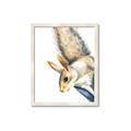 Picture of Flying Squirrel _GroupedProduct_Rectangle_Portrait_Mini_ _GroupedProduct_Rectangle_Portrait_Framed_Matted_