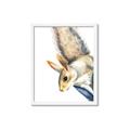 Picture of Flying Squirrel _GroupedProduct_Rectangle_Portrait_Mini_ _GroupedProduct_Rectangle_Portrait_Framed_Matted_