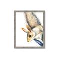 Picture of Flying Squirrel _GroupedProduct_Rectangle_Portrait_Mini_ _GroupedProduct_Rectangle_Portrait_Framed_Matted_