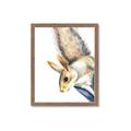 Picture of Flying Squirrel _GroupedProduct_Rectangle_Portrait_Mini_ _GroupedProduct_Rectangle_Portrait_Framed_Matted_