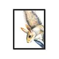 Picture of Flying Squirrel _GroupedProduct_Rectangle_Portrait_Mini_ _GroupedProduct_Rectangle_Portrait_Framed_Matted_