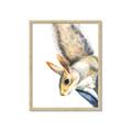 Picture of Flying Squirrel _GroupedProduct_Rectangle_Portrait_Mini_ _GroupedProduct_Rectangle_Portrait_Framed_Matted_