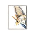 Picture of Flying Squirrel _GroupedProduct_Rectangle_Portrait_Mini_ _GroupedProduct_Rectangle_Portrait_Framed_Matted_