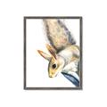 Picture of Flying Squirrel _GroupedProduct_Rectangle_Portrait_Mini_ _GroupedProduct_Rectangle_Portrait_Framed_Matted_