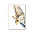 Picture of Flying Squirrel _GroupedProduct_Rectangle_Portrait_Mini_ _GroupedProduct_Rectangle_Portrait_Framed_Matted_