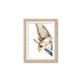 Picture of Flying Squirrel _GroupedProduct_Rectangle_Portrait_Mini_ _GroupedProduct_Rectangle_Portrait_Framed_Matted_