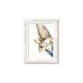 Picture of Flying Squirrel _GroupedProduct_Rectangle_Portrait_Mini_ _GroupedProduct_Rectangle_Portrait_Framed_Matted_