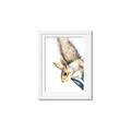 Picture of Flying Squirrel _GroupedProduct_Rectangle_Portrait_Mini_ _GroupedProduct_Rectangle_Portrait_Framed_Matted_
