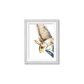 Picture of Flying Squirrel _GroupedProduct_Rectangle_Portrait_Mini_ _GroupedProduct_Rectangle_Portrait_Framed_Matted_