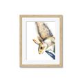 Picture of Flying Squirrel _GroupedProduct_Rectangle_Portrait_Mini_ _GroupedProduct_Rectangle_Portrait_Framed_Matted_