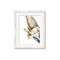 Picture of Flying Squirrel _GroupedProduct_Rectangle_Portrait_Mini_ _GroupedProduct_Rectangle_Portrait_Framed_Matted_