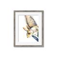 Picture of Flying Squirrel _GroupedProduct_Rectangle_Portrait_Mini_ _GroupedProduct_Rectangle_Portrait_Framed_Matted_