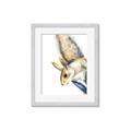 Picture of Flying Squirrel _GroupedProduct_Rectangle_Portrait_Mini_ _GroupedProduct_Rectangle_Portrait_Framed_Matted_