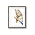 Picture of Flying Squirrel _GroupedProduct_Rectangle_Portrait_Mini_ _GroupedProduct_Rectangle_Portrait_Framed_Matted_