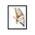 Picture of Flying Squirrel _GroupedProduct_Rectangle_Portrait_Mini_ _GroupedProduct_Rectangle_Portrait_Framed_Matted_