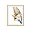 Picture of Flying Squirrel _GroupedProduct_Rectangle_Portrait_Mini_ _GroupedProduct_Rectangle_Portrait_Framed_Matted_