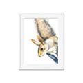 Picture of Flying Squirrel _GroupedProduct_Rectangle_Portrait_Mini_ _GroupedProduct_Rectangle_Portrait_Framed_Matted_