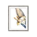 Picture of Flying Squirrel _GroupedProduct_Rectangle_Portrait_Mini_ _GroupedProduct_Rectangle_Portrait_Framed_Matted_