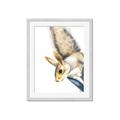 Picture of Flying Squirrel _GroupedProduct_Rectangle_Portrait_Mini_ _GroupedProduct_Rectangle_Portrait_Framed_Matted_