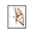 Picture of Flying Squirrel _GroupedProduct_Rectangle_Portrait_Mini_ _GroupedProduct_Rectangle_Portrait_Framed_Matted_