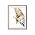 Picture of Flying Squirrel _GroupedProduct_Rectangle_Portrait_Mini_ _GroupedProduct_Rectangle_Portrait_Framed_Matted_