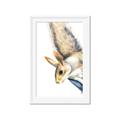 Picture of Flying Squirrel _GroupedProduct_Rectangle_Portrait_Mini_ _GroupedProduct_Rectangle_Portrait_Framed_Matted_